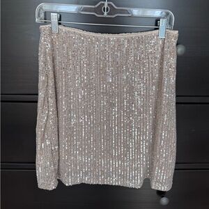 Sequin Embellished Tan Skirt